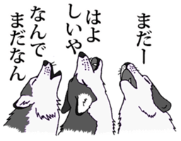 carnivore animals sticker #7990219