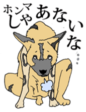 carnivore animals sticker #7990241