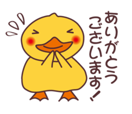 Duck! Duck! Duck! sticker #7990966