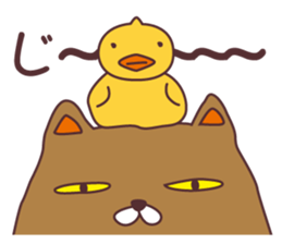 Duck! Duck! Duck! sticker #7990996