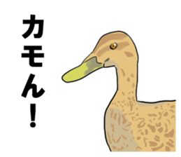 simple japanese gag sticker sticker #7992656