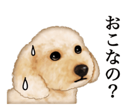 Poodle's real feelings sticker #7994205