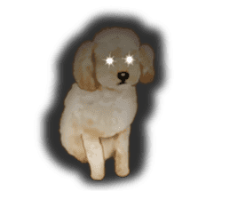 Poodle's real feelings sticker #7994232