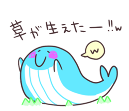 Sticker of the whale sticker #7997011