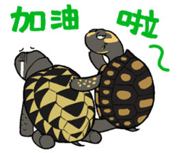 Tortoise diary - Part.2 sticker #7999697