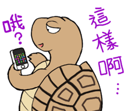 Tortoise diary - Part.2 sticker #7999706