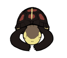 Tortoise diary - Part.2 sticker #7999716