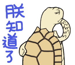 Tortoise diary - Part.2 sticker #7999718