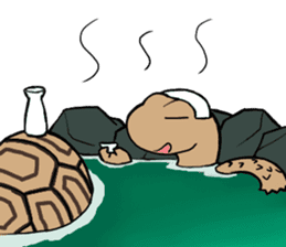 Tortoise diary - Part.2 sticker #7999720
