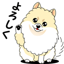 Cute Pomeranian dog sticker #8000325