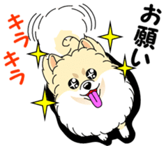 Cute Pomeranian dog sticker #8000326