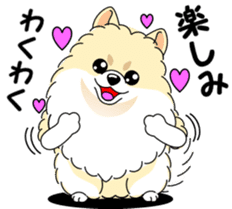 Cute Pomeranian dog sticker #8000327