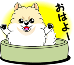 Cute Pomeranian dog sticker #8000328