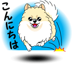 Cute Pomeranian dog sticker #8000329