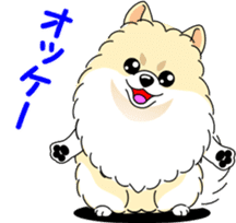 Cute Pomeranian dog sticker #8000332