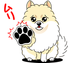 Cute Pomeranian dog sticker #8000333