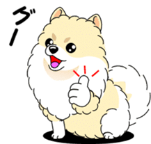 Cute Pomeranian dog sticker #8000334