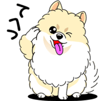 Cute Pomeranian dog sticker #8000335