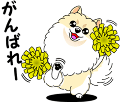 Cute Pomeranian dog sticker #8000336