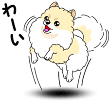 Cute Pomeranian dog sticker #8000338