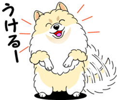Cute Pomeranian dog sticker #8000339