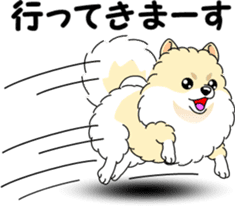 Cute Pomeranian dog sticker #8000340