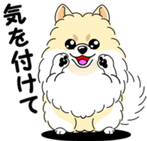 Cute Pomeranian dog sticker #8000341