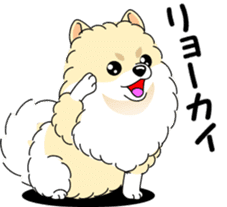 Cute Pomeranian dog sticker #8000342