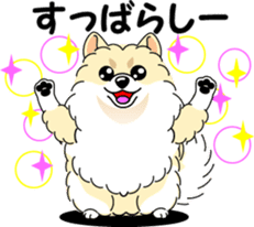 Cute Pomeranian dog sticker #8000343