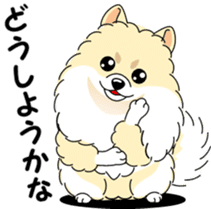 Cute Pomeranian dog sticker #8000344