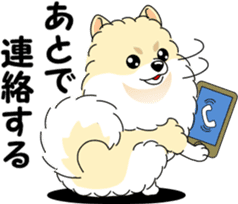 Cute Pomeranian dog sticker #8000346