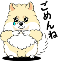 Cute Pomeranian dog sticker #8000347