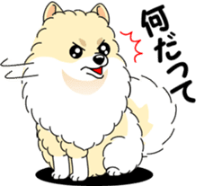 Cute Pomeranian dog sticker #8000348
