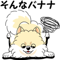 Cute Pomeranian dog sticker #8000351