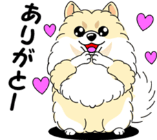 Cute Pomeranian dog sticker #8000353
