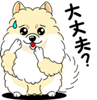 Cute Pomeranian dog sticker #8000356