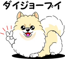 Cute Pomeranian dog sticker #8000357