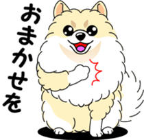 Cute Pomeranian dog sticker #8000359
