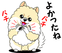 Cute Pomeranian dog sticker #8000361