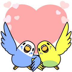 Budgerigar,budgie "Sekisei-inko"