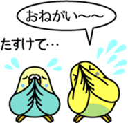 Budgerigar,budgie "Sekisei-inko" sticker #8000846