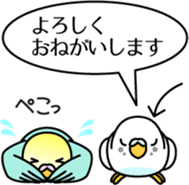 Budgerigar,budgie "Sekisei-inko" sticker #8000847