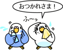Budgerigar,budgie "Sekisei-inko" sticker #8000848