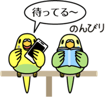 Budgerigar,budgie "Sekisei-inko" sticker #8000852