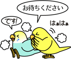 Budgerigar,budgie "Sekisei-inko" sticker #8000855