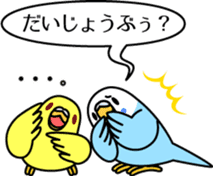 Budgerigar,budgie "Sekisei-inko" sticker #8000856