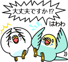 Budgerigar,budgie "Sekisei-inko" sticker #8000857