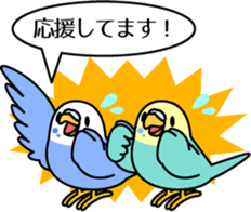 Budgerigar,budgie "Sekisei-inko" sticker #8000859