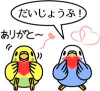 Budgerigar,budgie "Sekisei-inko" sticker #8000862