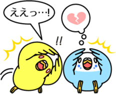 Budgerigar,budgie "Sekisei-inko" sticker #8000865